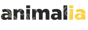 Animalia