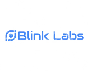 Blinks Labs
