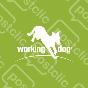 Working Dog