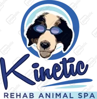 Cancel Kinetic Internet | Postclic