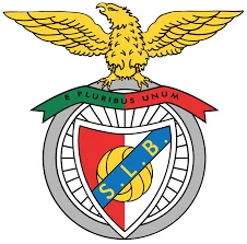 Cancelar Sócio Benfica | Postclic