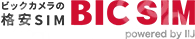 Bic Sim