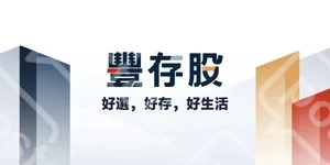 豐存股