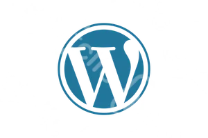 Wordpress.Com